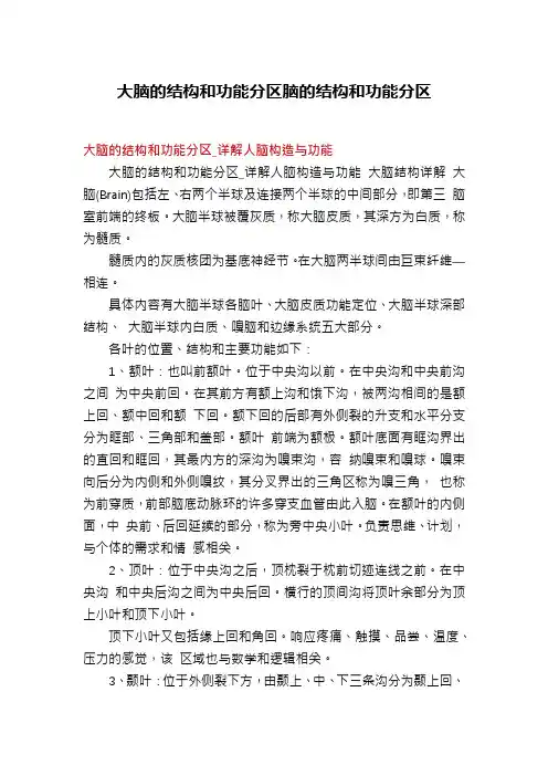大脑的结构和功能分区脑的结构和功能分区