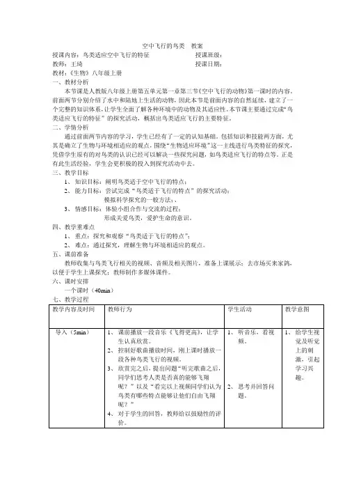 空中飞行的鸟类  教案