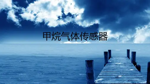 甲烷传感器资料.