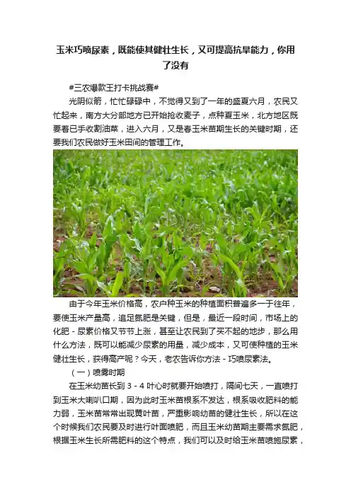 玉米巧喷尿素，既能使其健壮生长，又可提高抗旱能力，你用了没有