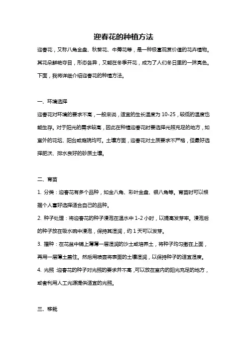 迎春花的种植方法