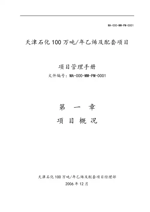 项目概况