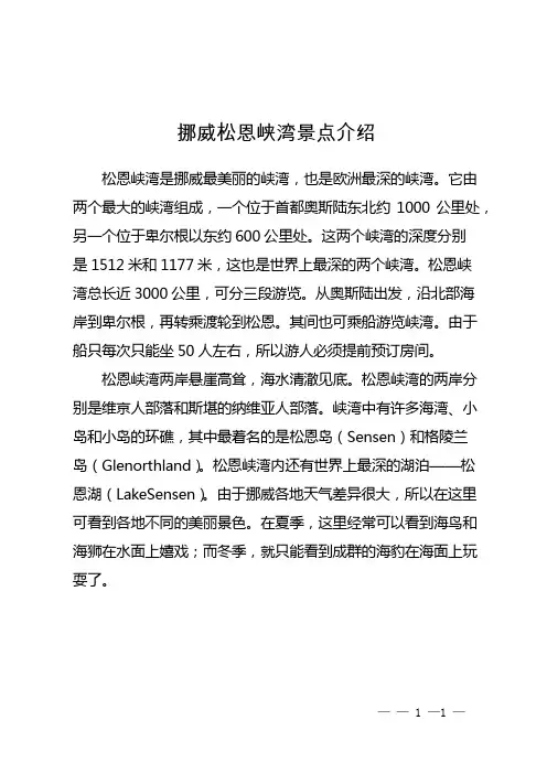 挪威松恩峡湾景点介绍
