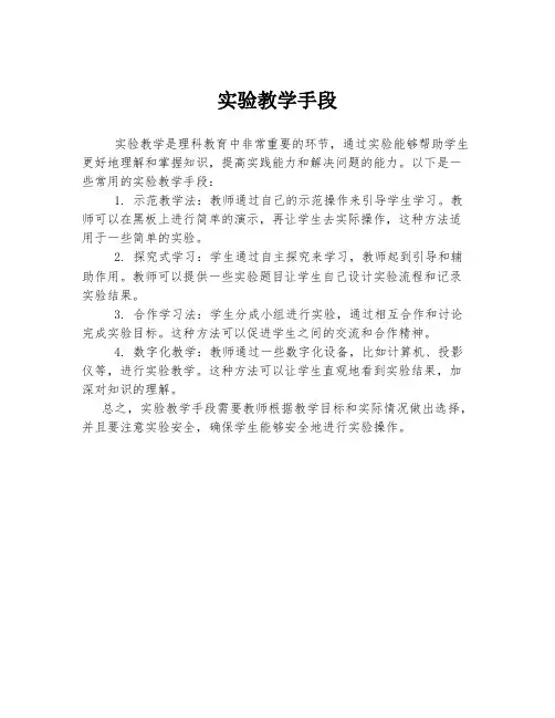 实验教学手段