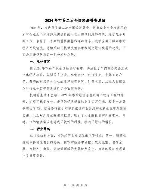 2024年市第二次全国经济普查总结(2篇)