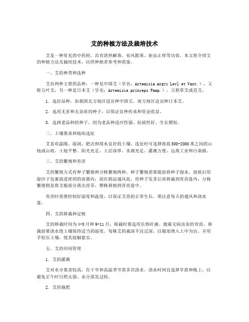 艾的种植方法及栽培技术