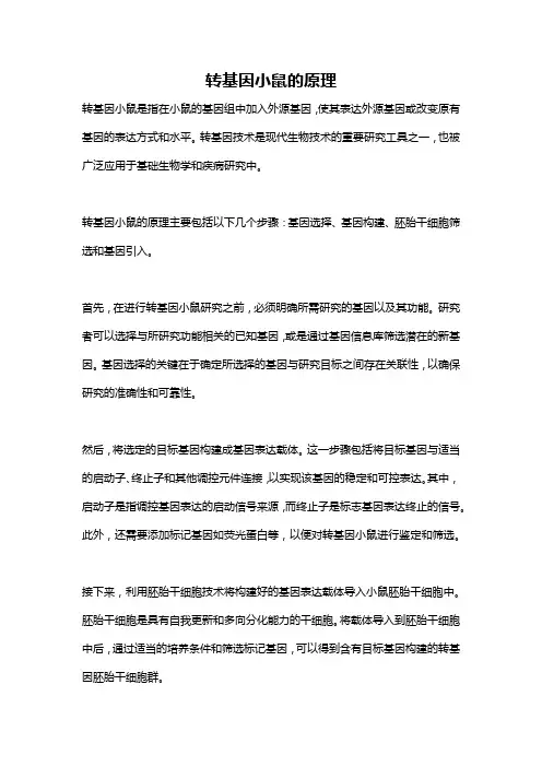 转基因小鼠的原理