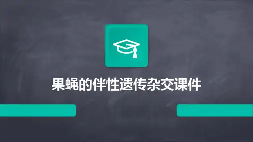 果蝇的伴性遗传杂交课件