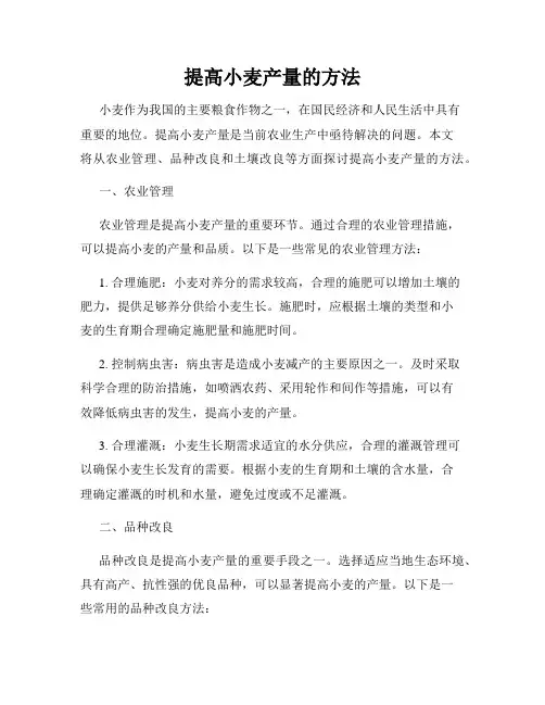 提高小麦产量的方法