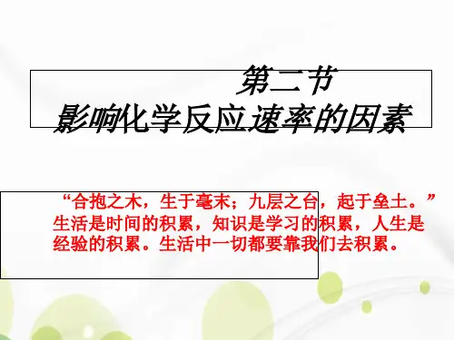 人教版高中化学选修4第二章第二节 影响化学反应速率的因素  课件(共24张PPT)