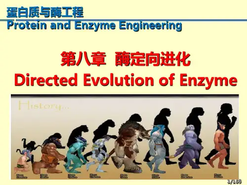 酶工程课件 5 第八章_酶定向进化