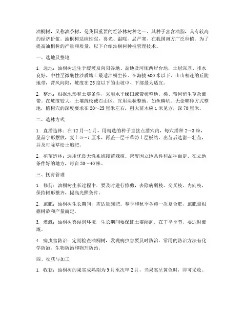 油桐树种植管理技术