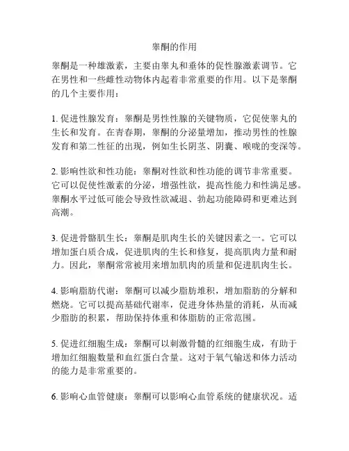 睾酮的作用