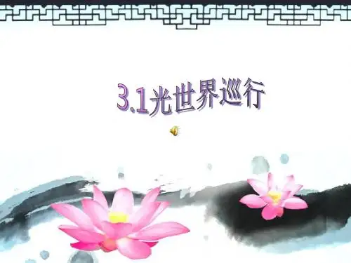 沪粤版八年级物理上册3.1光世界巡行课件
