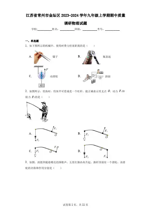 江苏省常州市金坛区2023-2024学年九年级上学期期中质量调研物理试题