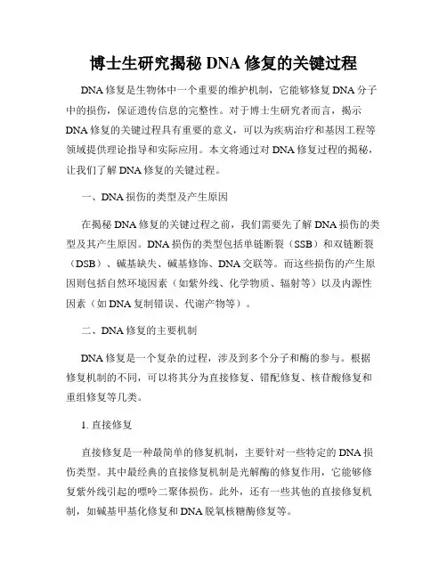 博士生研究揭秘DNA修复的关键过程