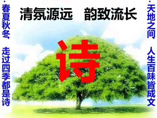 高考诗歌鉴赏之怎样读懂诗歌ppt(共21张)