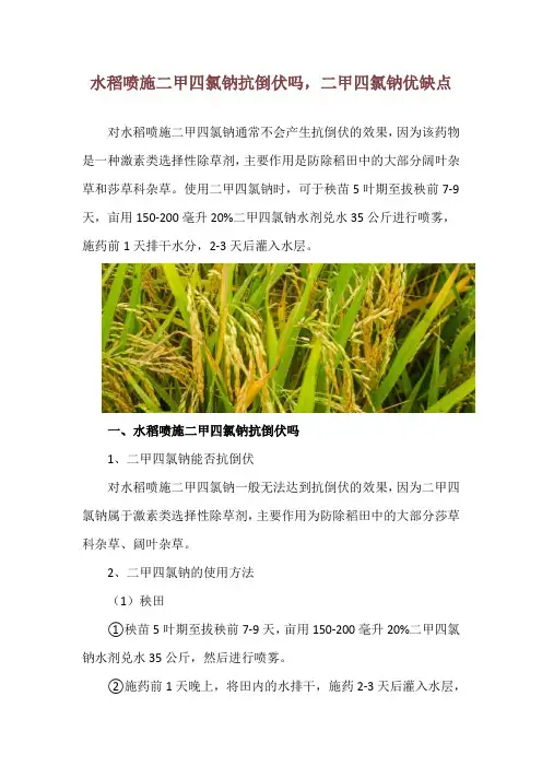水稻喷施二甲四氯钠抗倒伏吗,二甲四氯钠优缺点