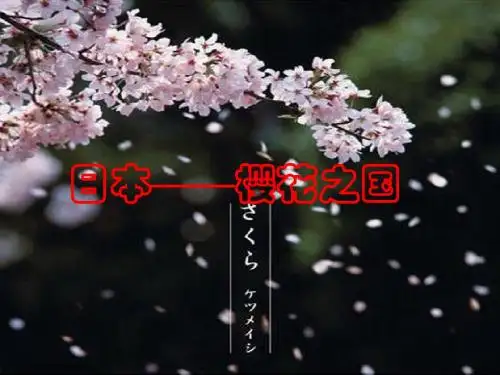 8.1日本课件08(湘教版七年级下)(1)