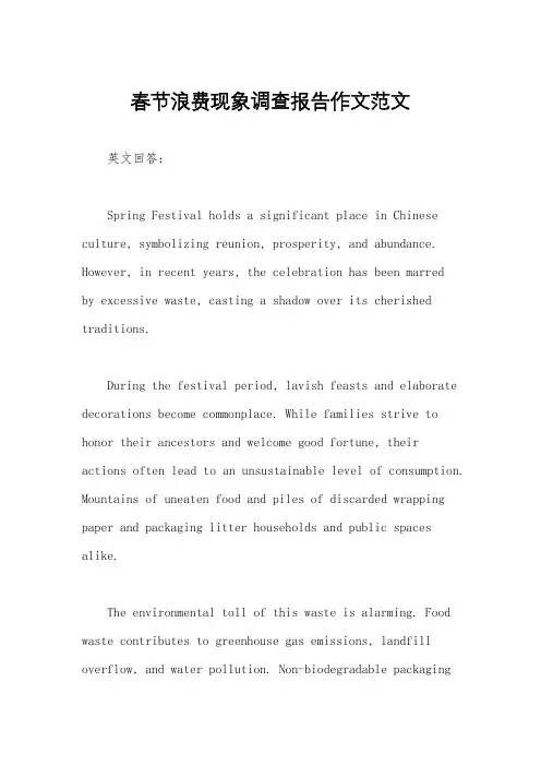 春节浪费现象调查报告作文范文