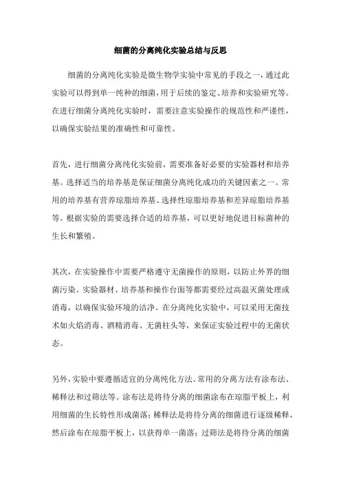 细菌的分离纯化实验总结与反思