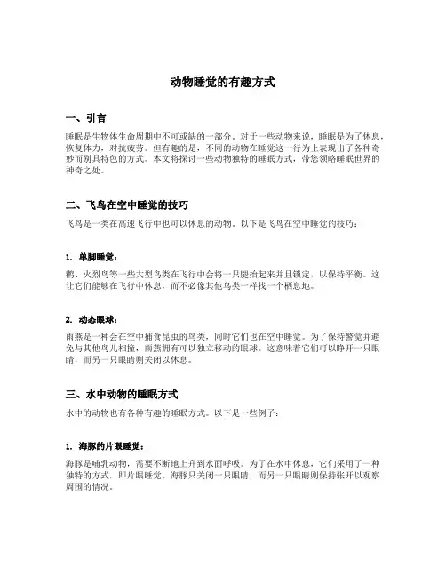 动物睡觉的有趣方式