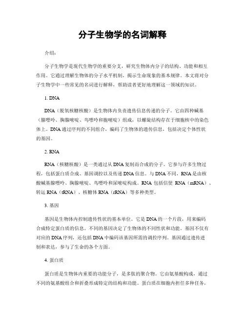 分子生物学的名词解释