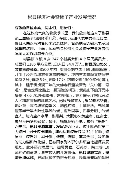 彬县经济社会暨柿子产业发展情况汇报【柿子节】