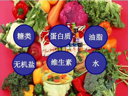人教版化学选修五第四章第一节油脂1