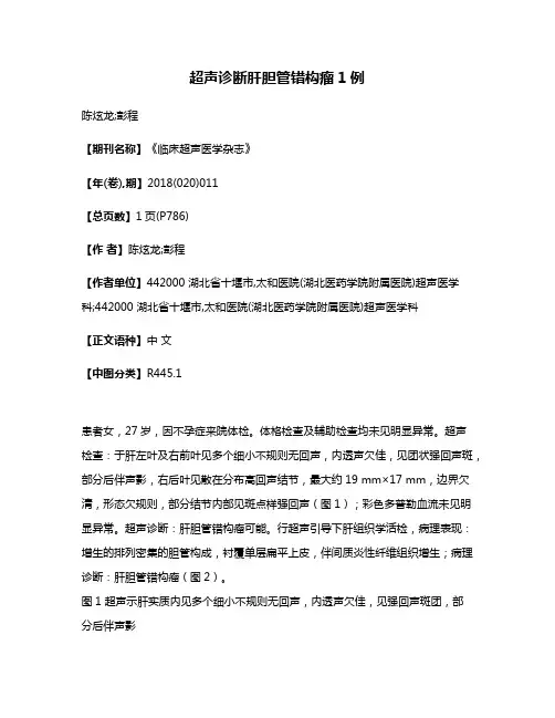 超声诊断肝胆管错构瘤1例
