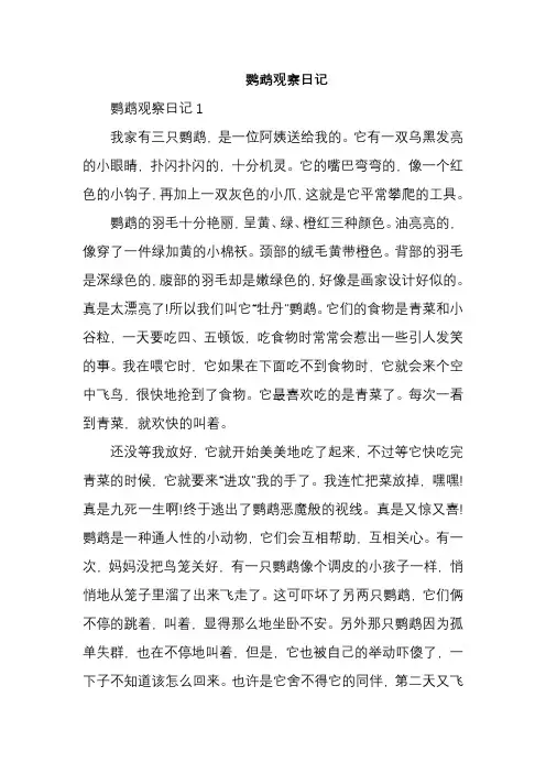 鹦鹉观察日记
