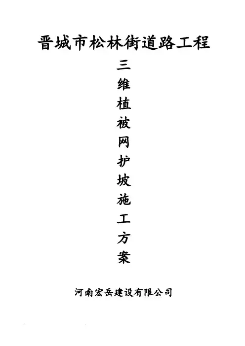 三维植被网护坡工程施工组织设计方案