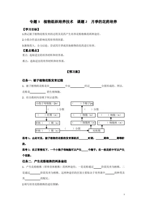 人教版高中生物选修一学案专题3 课题2 月季的花药培养