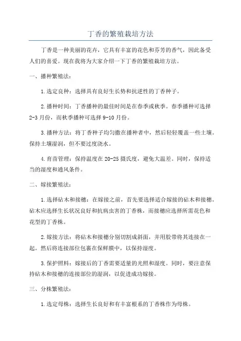 丁香的繁殖栽培方法