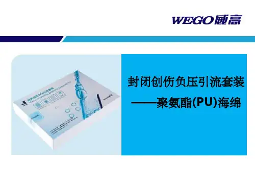 PU海绵PPT
