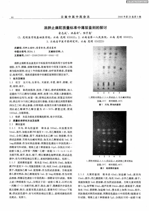 消肿止痛酊质量标准中薄层鉴别的探讨