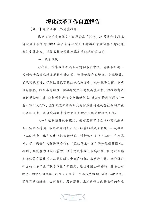 深化改革工作自查报告