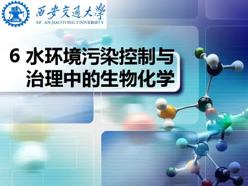 环境生物化学第六章
