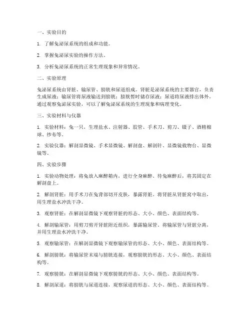 兔泌尿实验实验报告