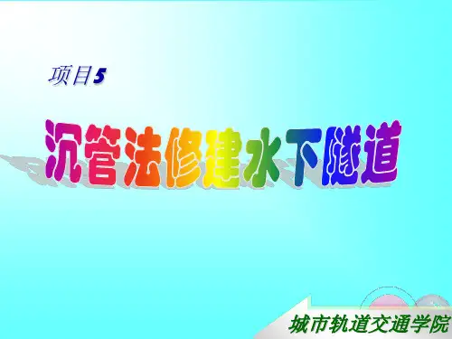 《地下隧道施工技术》PPT课件