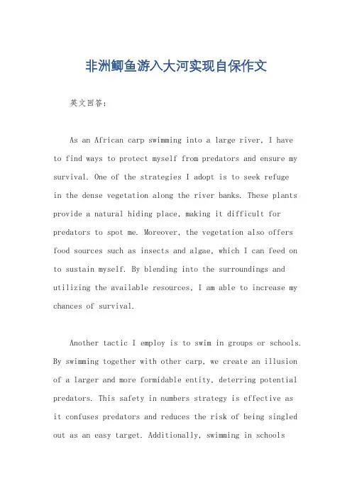 非洲鲫鱼游入大河实现自保作文