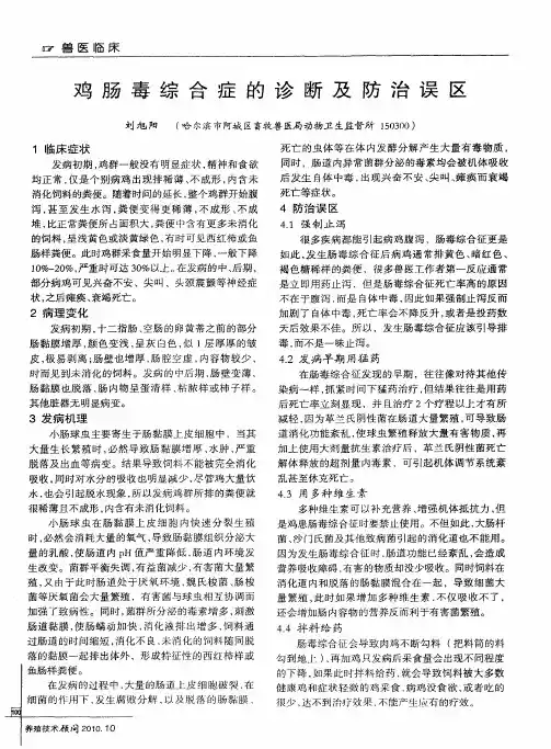 鸡肠毒综合症的诊断及防治误区