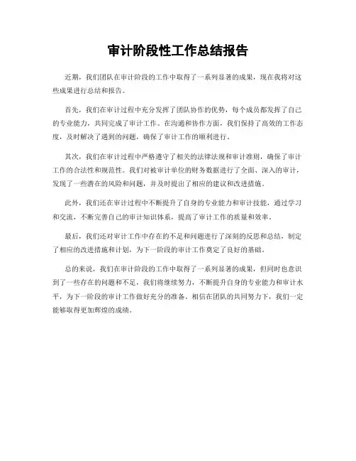 审计阶段性工作总结报告