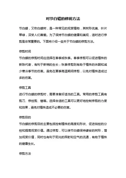 对节白蜡的修剪方法