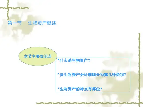 生物资产会计