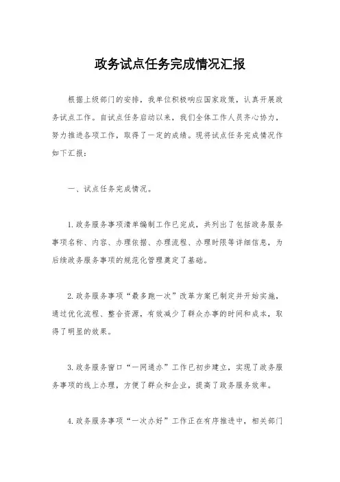 政务试点任务完成情况汇报