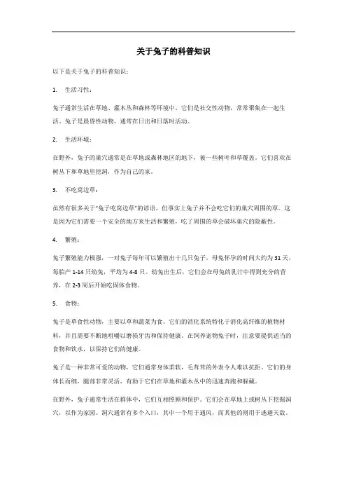 关于兔子的科普