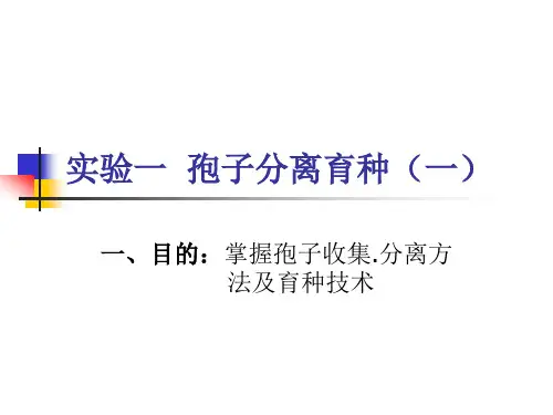 食用菌生产技术 实验一  孢子分离杂交育种