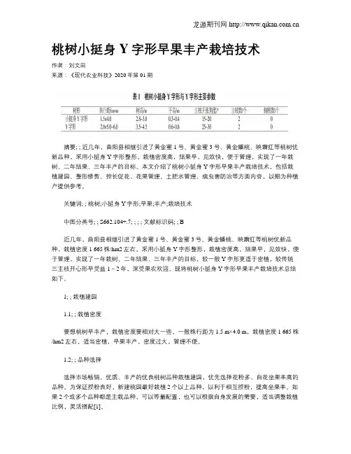 桃树小挺身Y字形早果丰产栽培技术