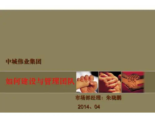 团队建设与管理教材(PDF45页)